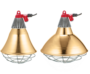 Lamp Protector